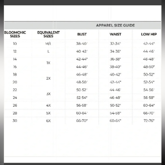 NWT!Leopard Print Black Skirt Belt Pocket Ruffle Sleeve Dress Size 28 or 5X - Picture 7 of 7